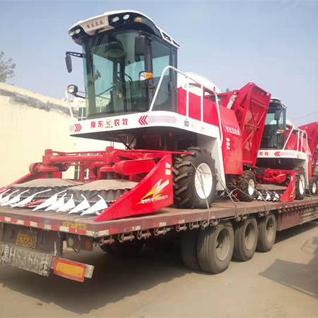 同在一片藍(lán)天下，歡度2019年中秋節(jié)