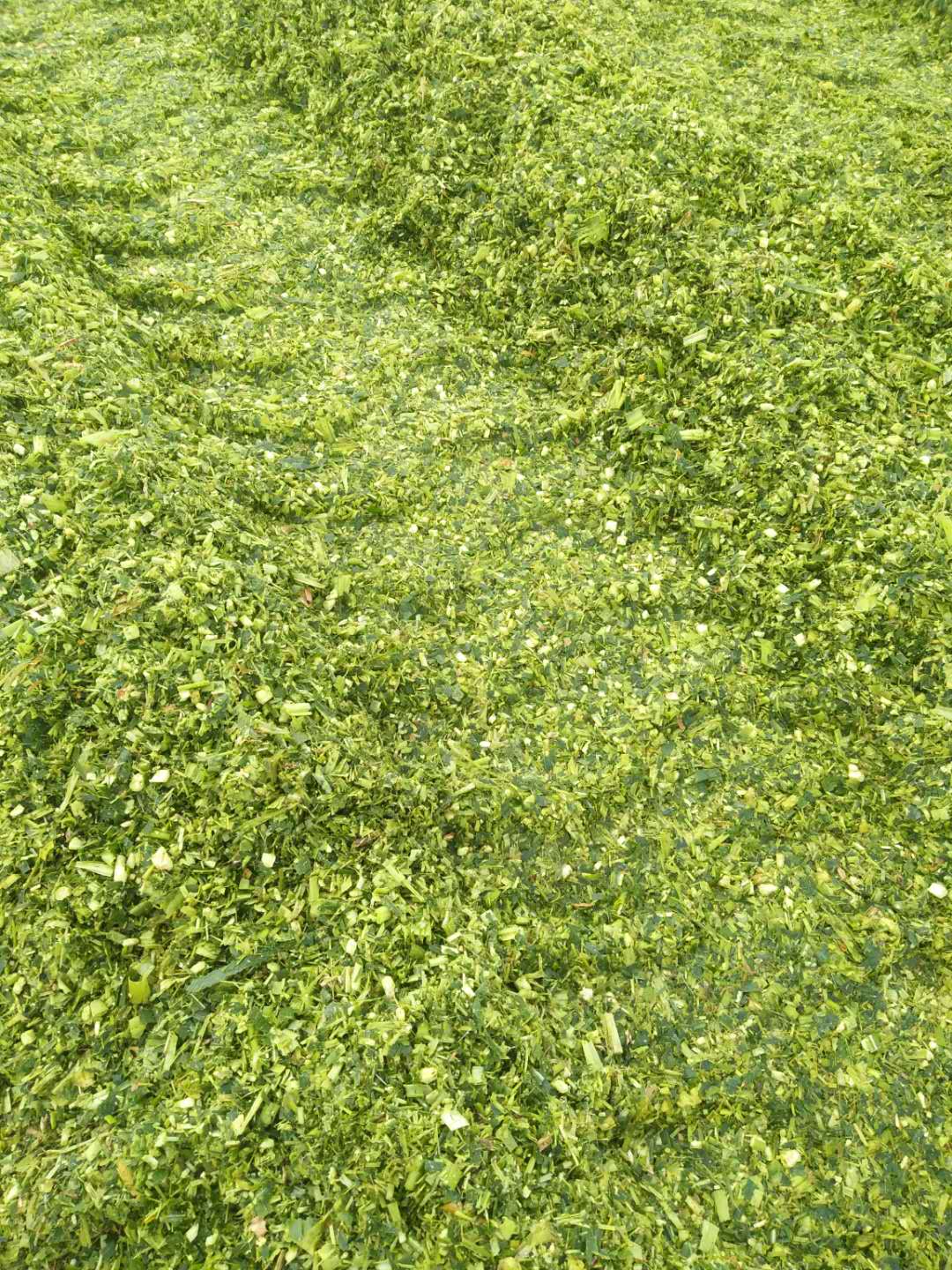 帶你了解關于玉米秸稈青儲機的保養(yǎng)知識