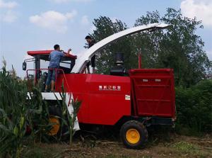 豫東農(nóng)牧自走式青儲機(jī)收割現(xiàn)場